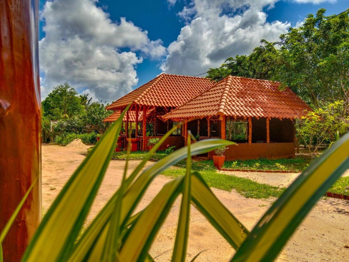 Ceylon Amigos Eco Resort Sigiriya Exterior photo