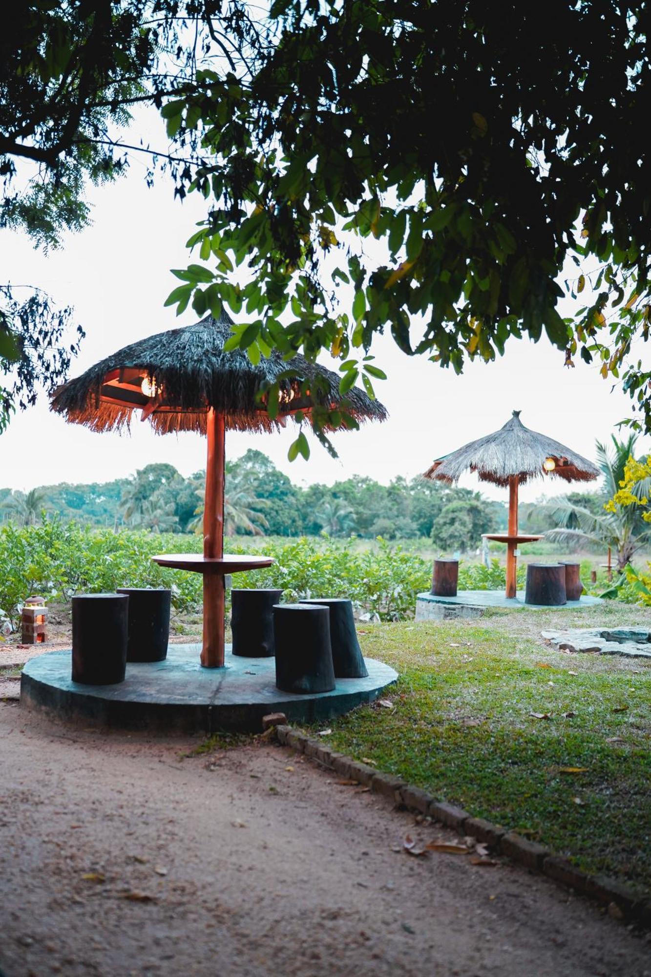Ceylon Amigos Eco Resort Sigiriya Exterior photo